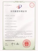 專利2